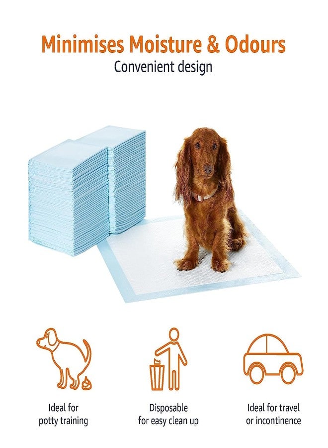Aksh Disposable Pet Training Pads 60x40 cms Small Puppy Pee and Potty Pads with Quick Drying Surface & Absorbent Core, Suitable for Small/Medium/ Breed Pets, Dogs, Cats - Pack of 1, 20 pcs - Image 4